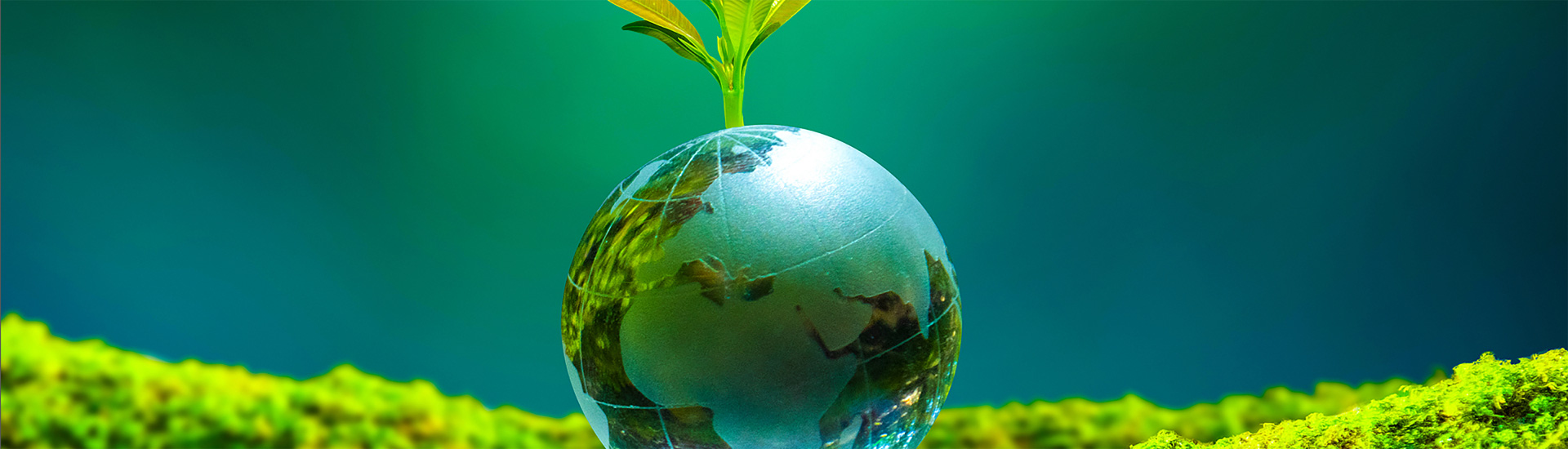 Social Responsibility